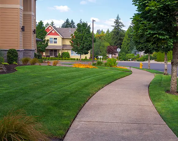 Driveway